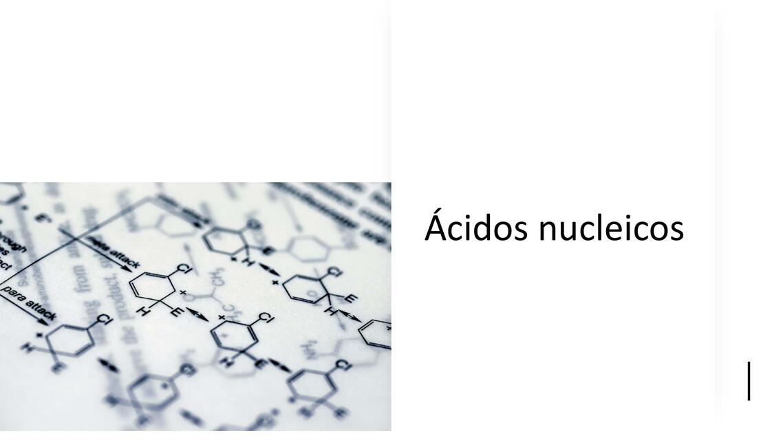 Biología Ácidos Nucleicos el ADN