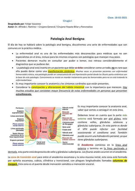 Cirugía I Par Clase 14 Patología Anal Benigna