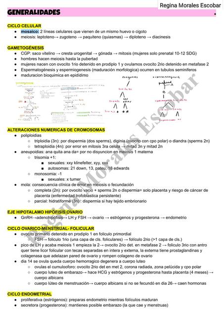 Embriología humana