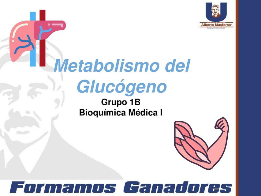 Metabolismo del glucógeno