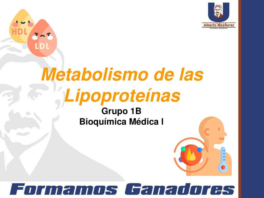 Metabolismo de las lipoproteínas