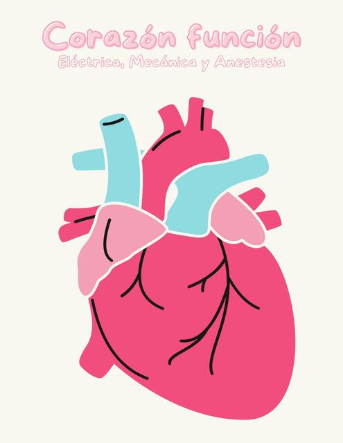 Corazón función eléctrica, mecánica y anestesia