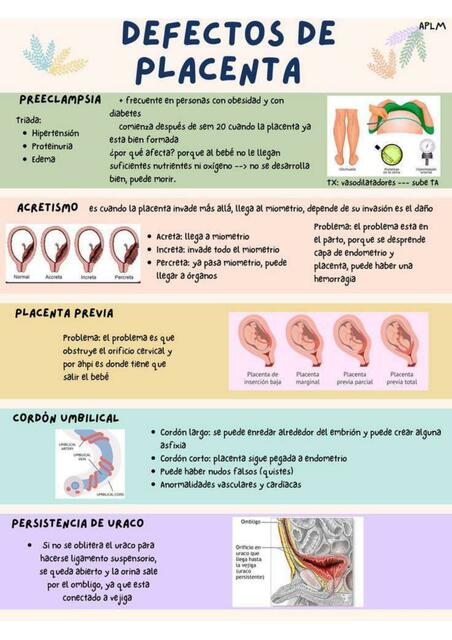 Defectos de Placenta