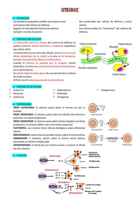 Citocinas 