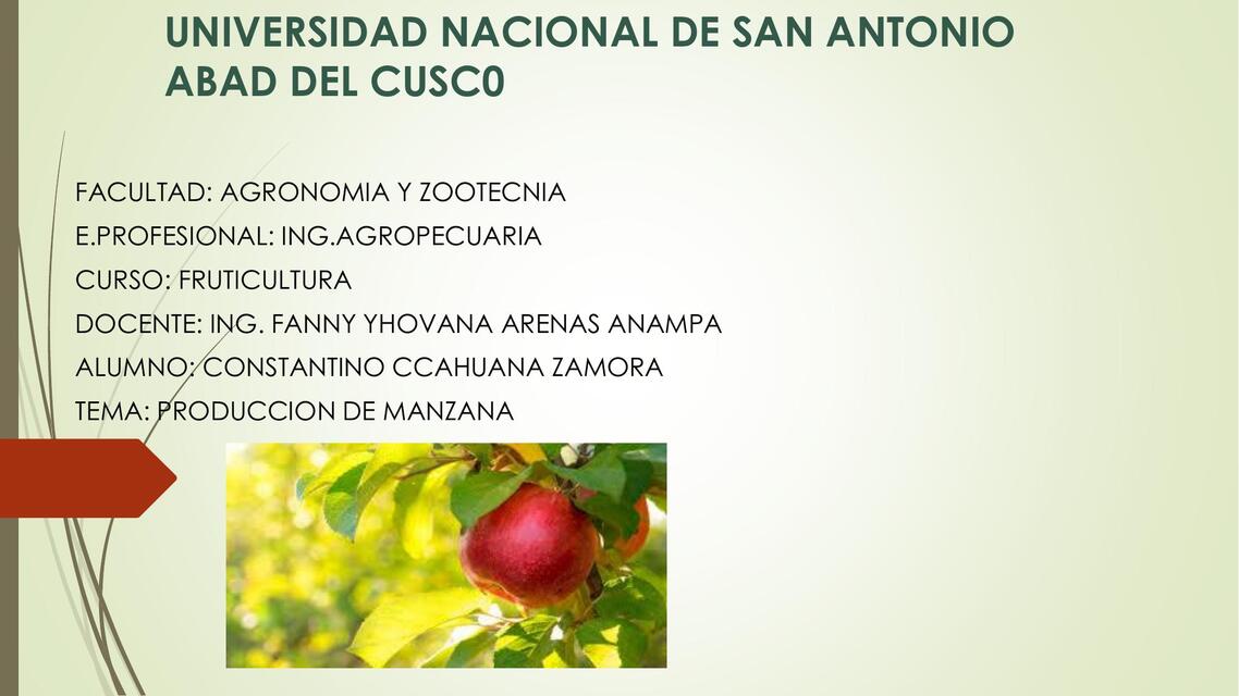 Producción de Manzana 