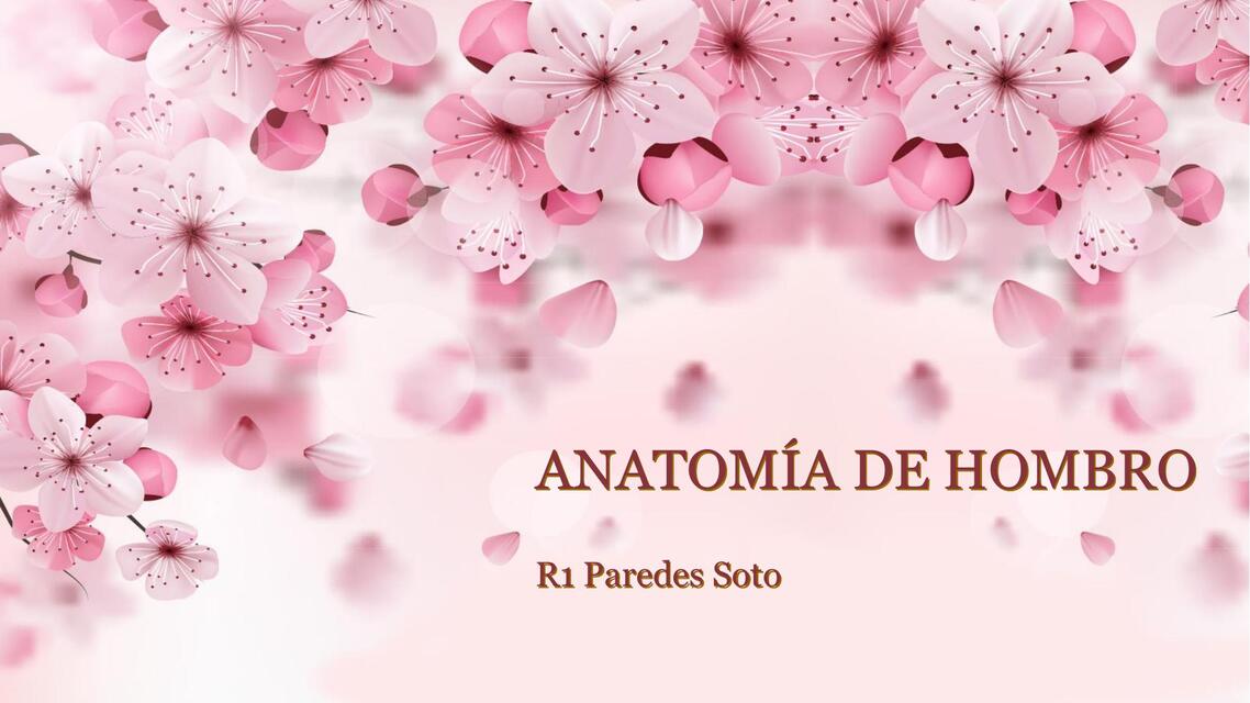 Anatomía de hombro  