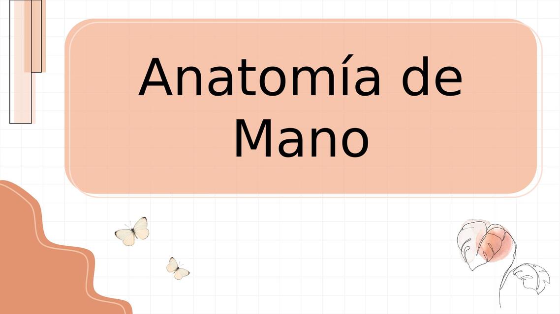 Anatomía de mano 