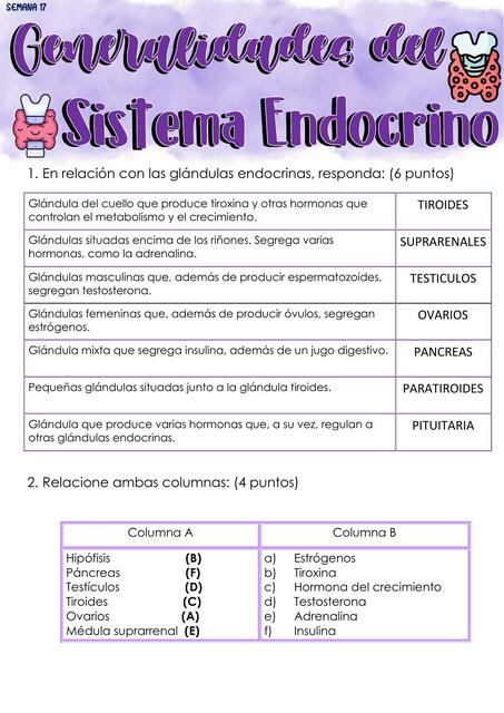 Generalidades del sistema endocrino