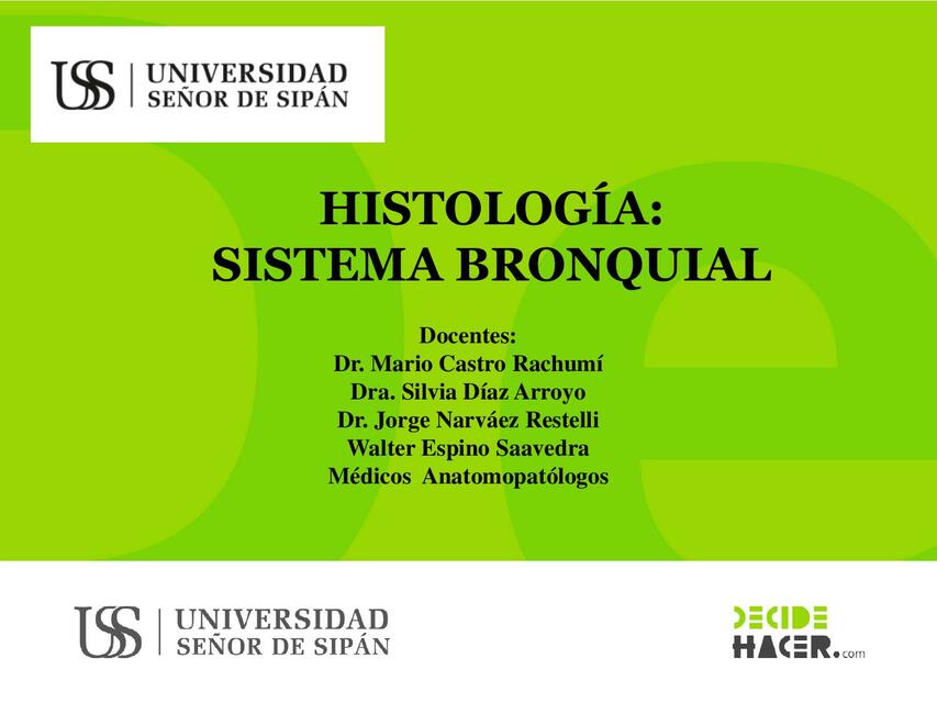 Histología: Sistema Bronquial 