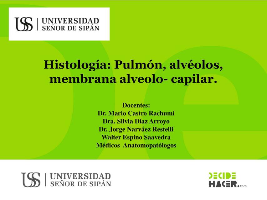 Histología: Pulmón, Alvéolos, Membrana Alveolo-Capilar 