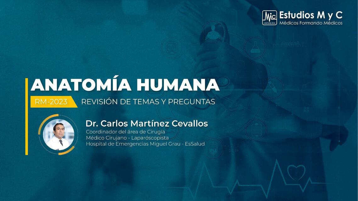 Anatomía Humana 