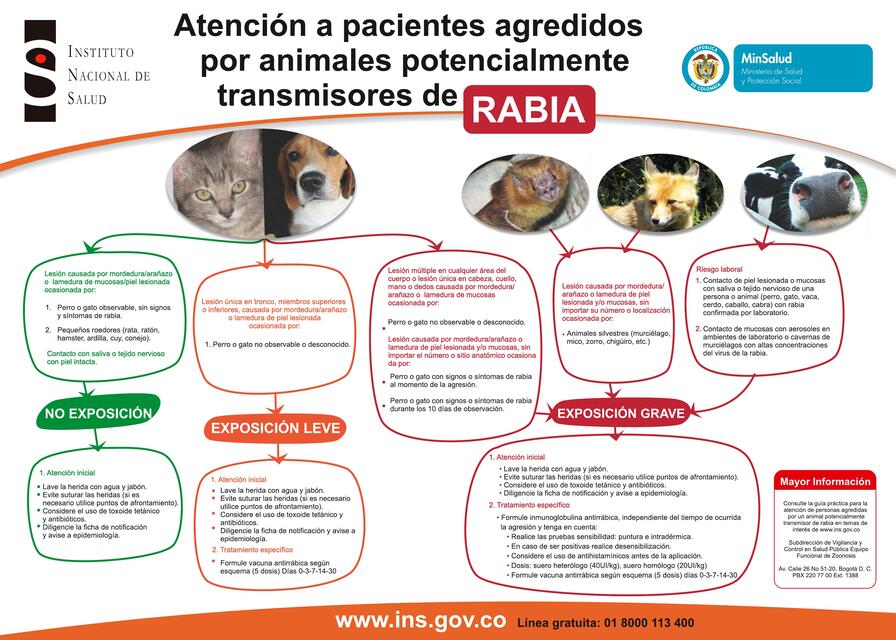 Atención a pacientes agredidos por animales potencialmente transmisores de rabia 