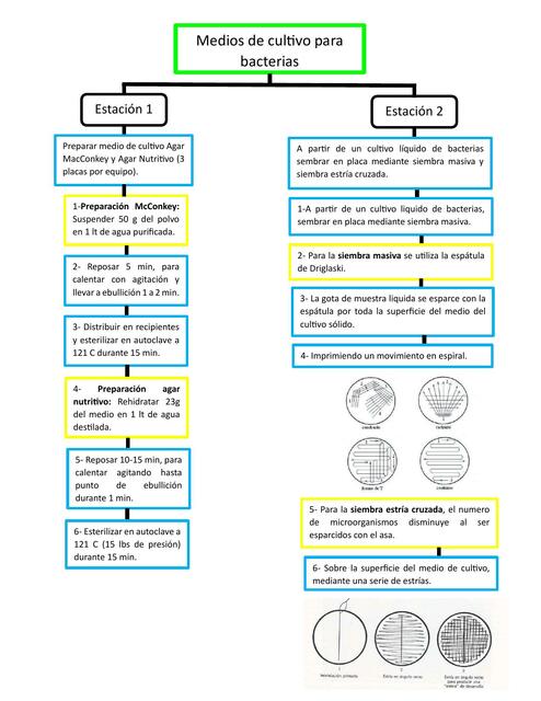 Medios de Cultivo para Bacterias 