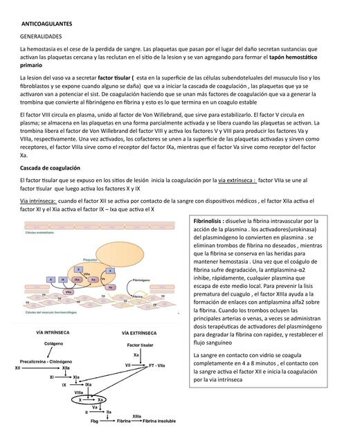 Anticoagulantes 