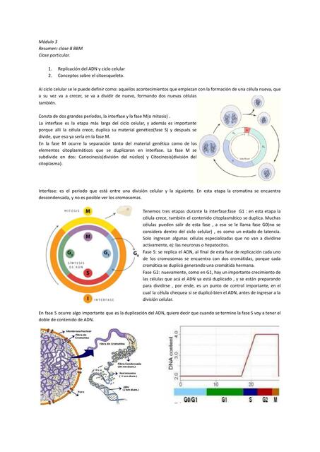 Replicación del ADN y Conceptos sobre citoesqueleto