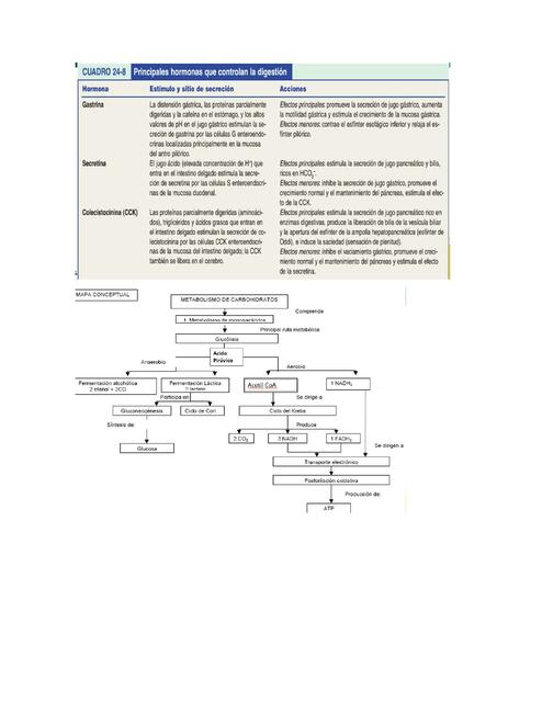 imagenes bioquimica