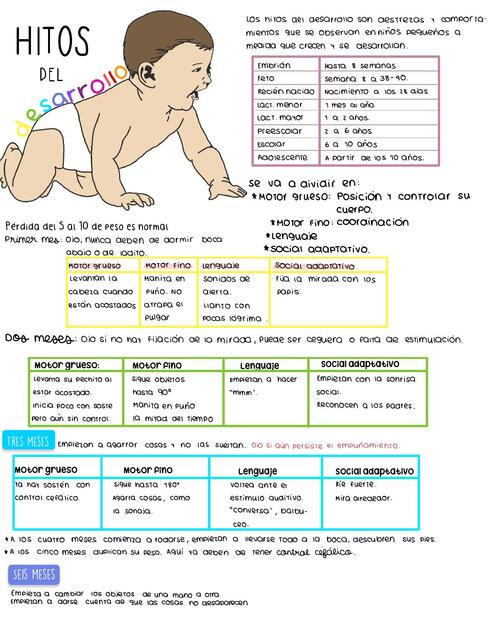 Hitos del desarrollo 