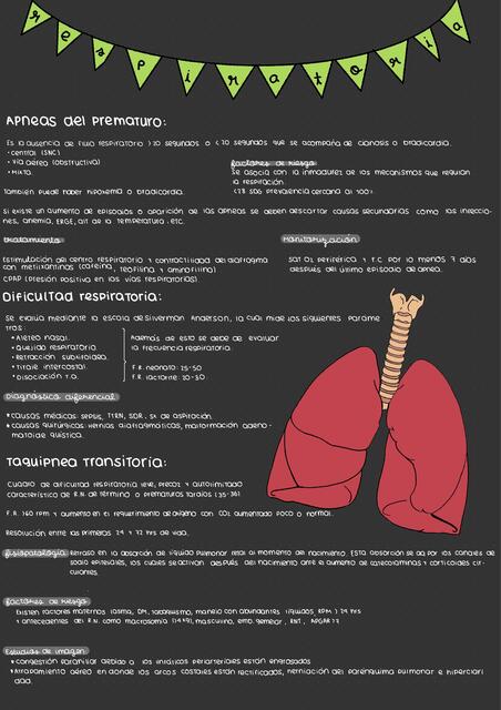 Patología respiratoria del Recien Nacido  