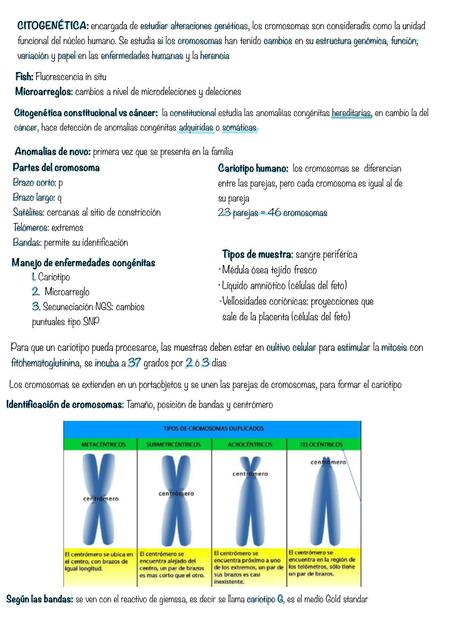 Citogenética 