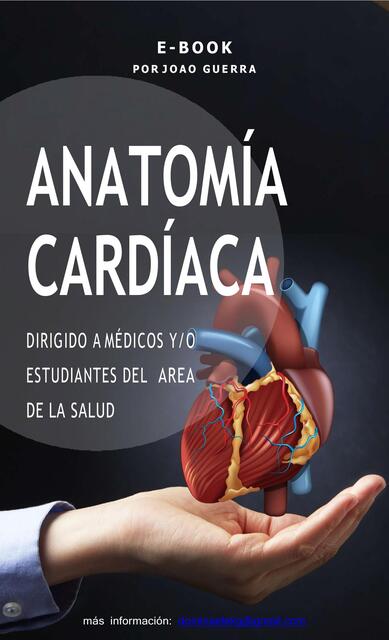 Anatomía Cardíaca 