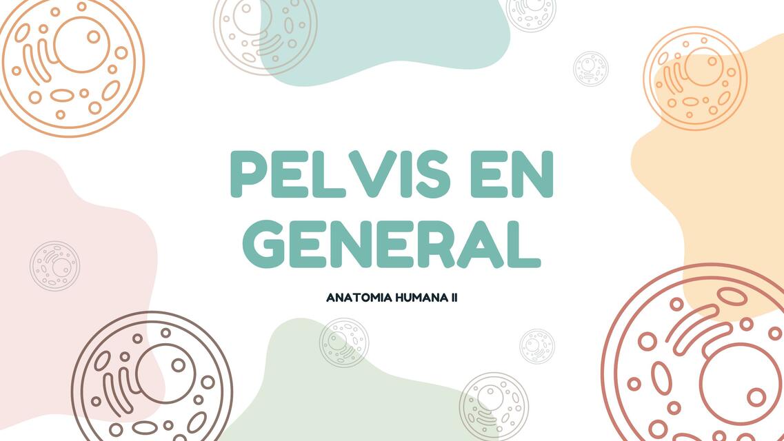 Presentación pelvis