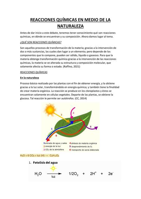 Reacciones Químicas en Medio de la Naturaleza