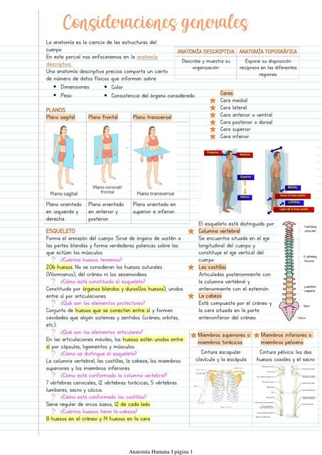 Consideraciones generales de Anatomía