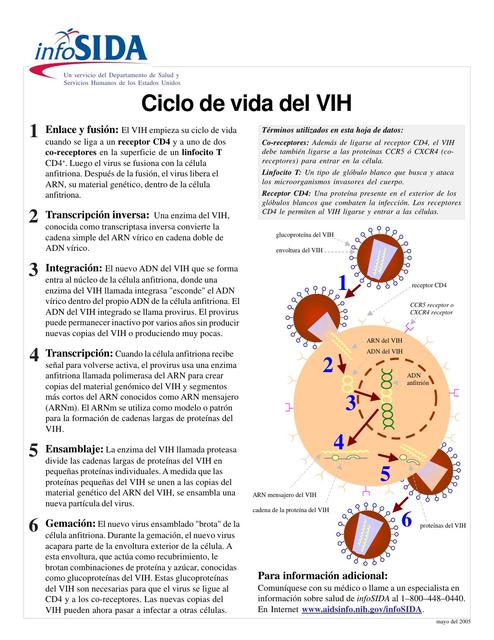 CicloDdeVidaDelVIH FS sp