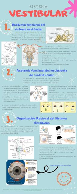 Sistema Vestibular