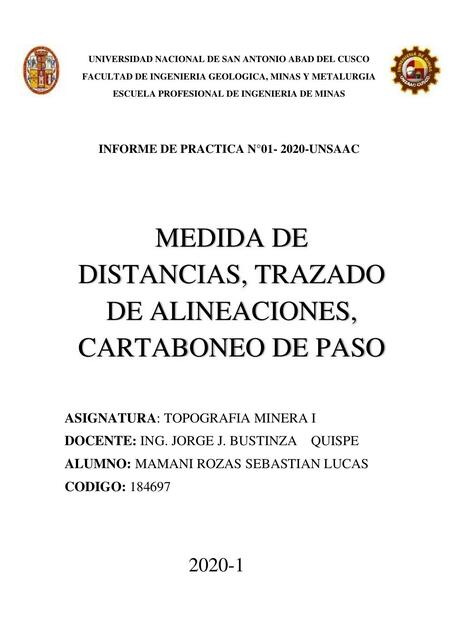 Informe cartaboneo de pasos