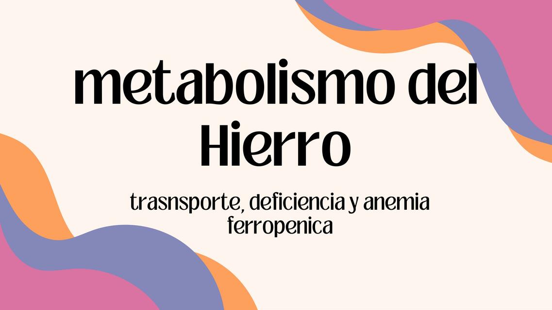 Metabolismo del hierro 