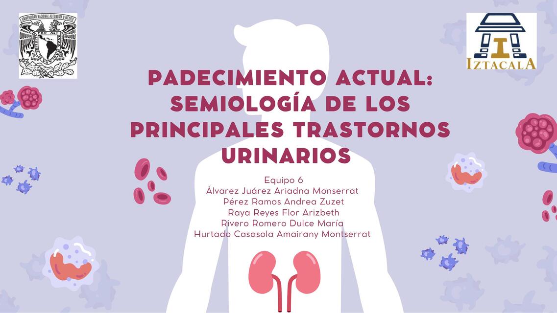 Semiología de los Principales Trastornos Urinarios 