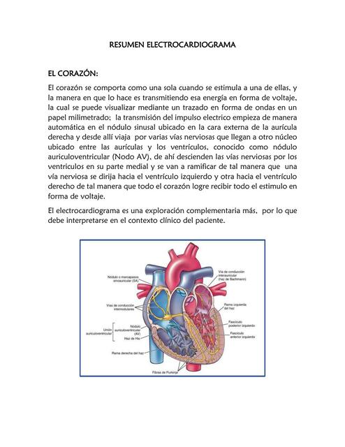 Resumen Electrocardiograma 