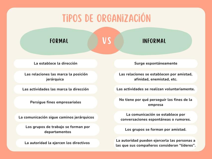 Tipos de Organización 