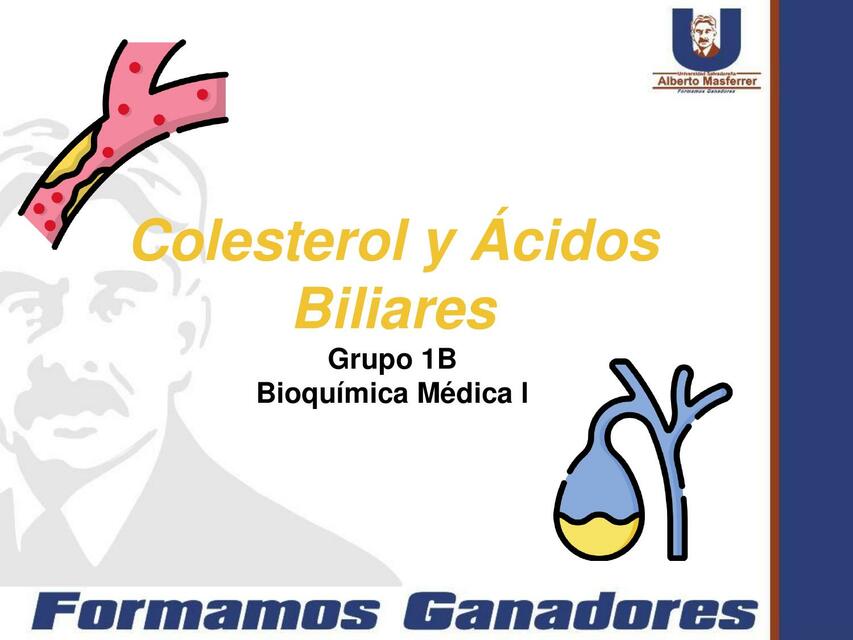 Colesterol y Ácidos Biliares 