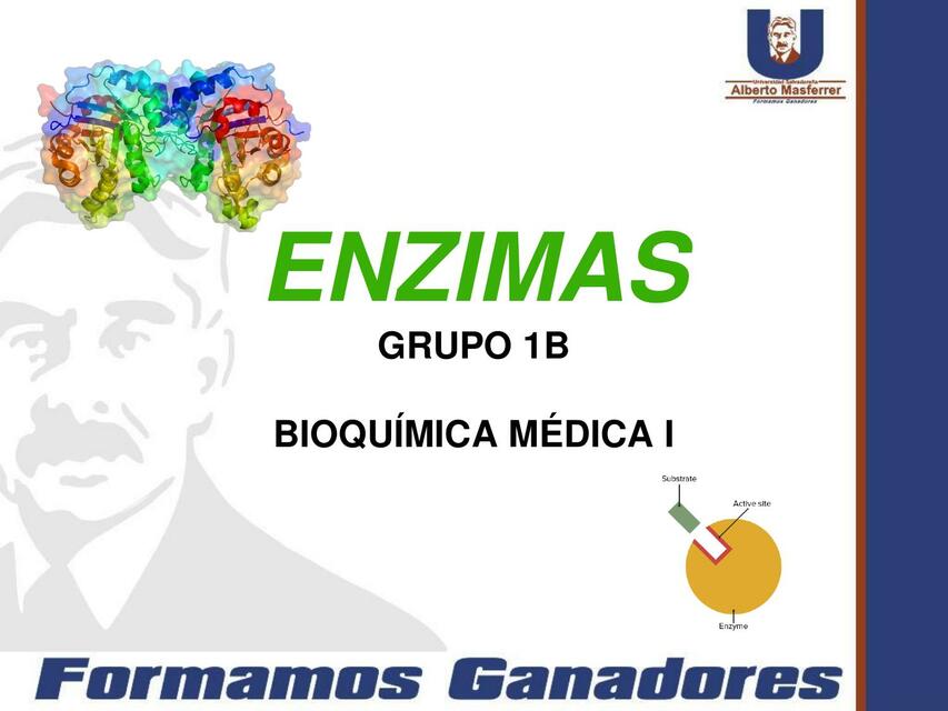 Enzimas