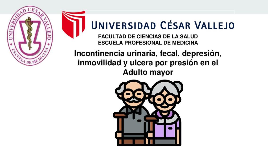 Incontinencia urinaria fecal depresión inmovilidad y ulcera por presión