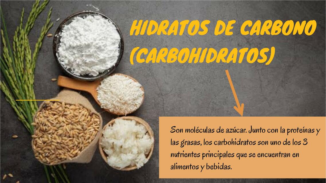 Hidratos de carbono