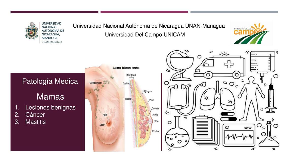 Patología Medica mamas