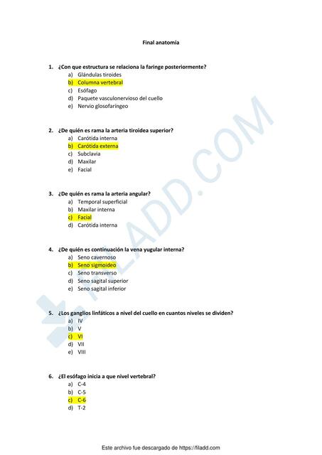 Final de Anatomía 