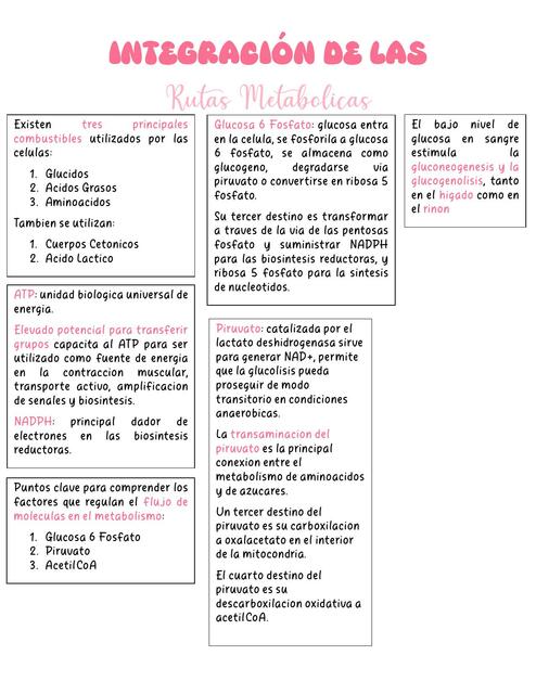 Integración de las Rutas Metabólicas - Bioquímica II