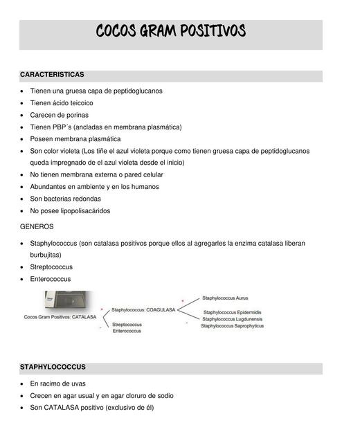 Cocos Gram positivos