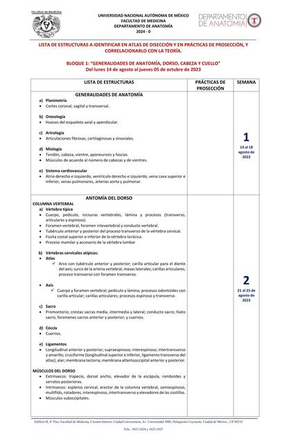 Generalidades de Anatomía, Dorso, Cabeza y Cuello 