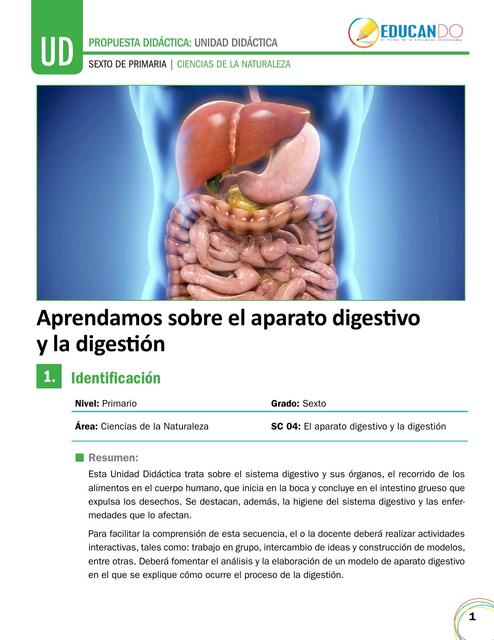 Aparato Digestivo y la Digestión 