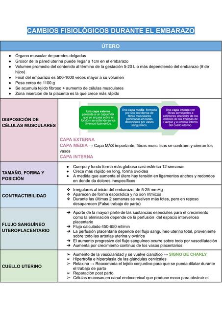 Cambios fisiológicos durante el embarazo