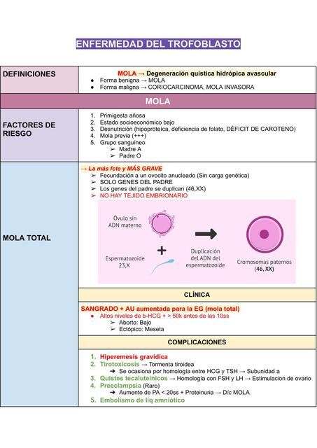 Enfermedad del trofoblasto