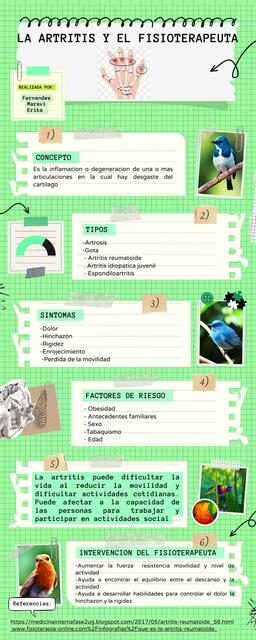 Infografía la artritis y el fisioterapeuta 