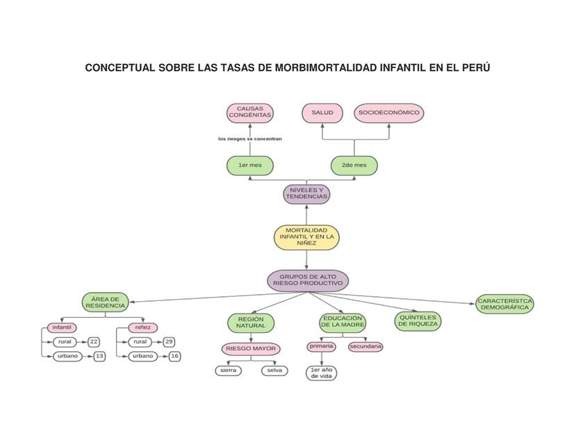 Conceptual sobre las Tasas de Morbimortalidad Infantil en el Perú 