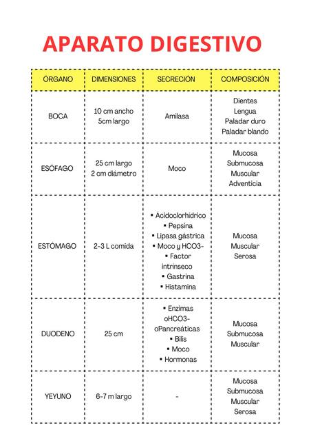 Órganos del aparato digestivo 