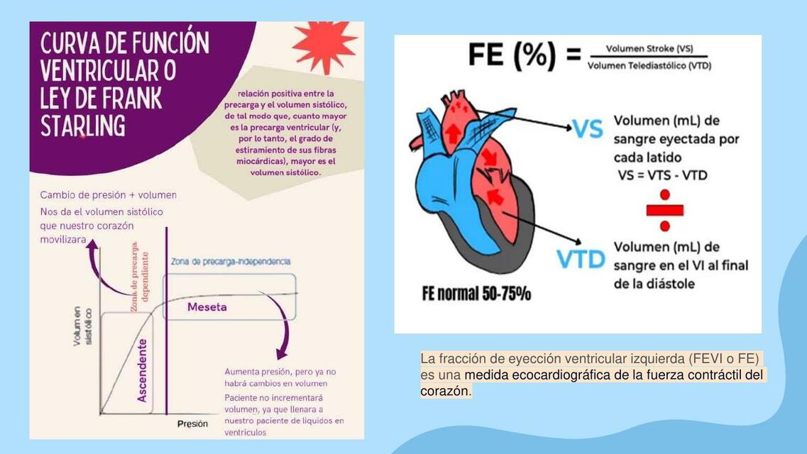 Curva de Función Ventricular o Ley de Frank Starling 